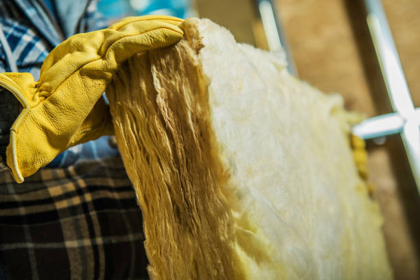 Best Insulation Installation Services in Kearney Park, MS