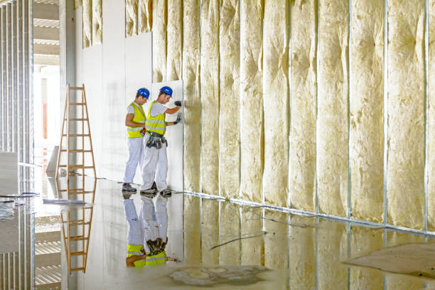 Best Types of Insulation in Kearney Park, MS